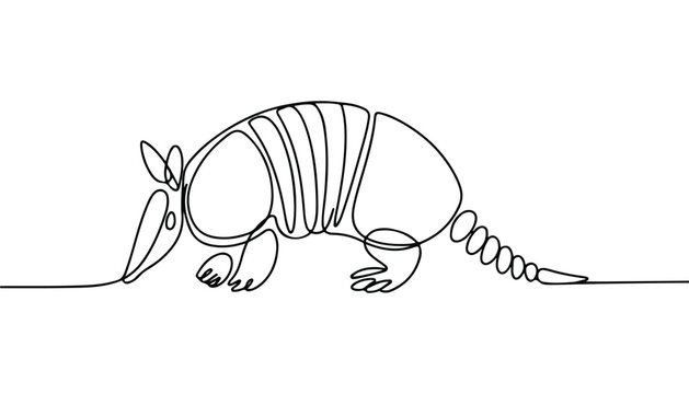 One continuous line illustration of an armadillo animal , isolated on white background.