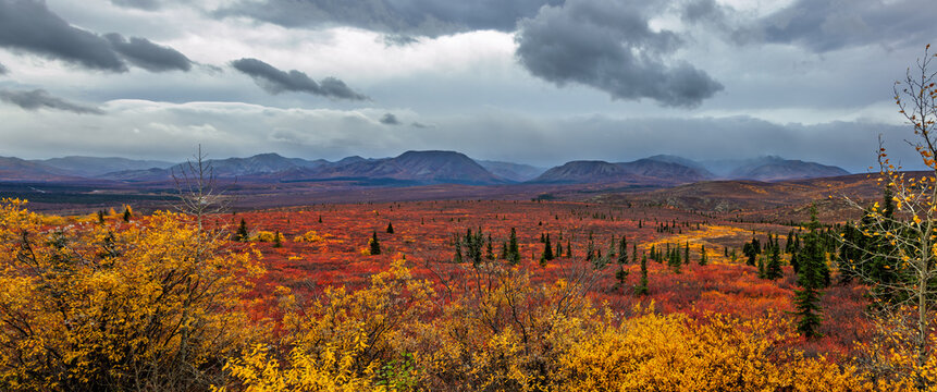 Denali National Park tundra autumn colors storm sky