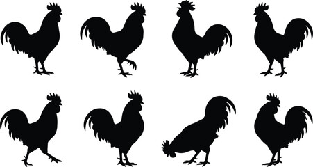 Rooster Silhouette Collection with Farm Chicken and Poultry Bird Poses © MstKhadijatul
