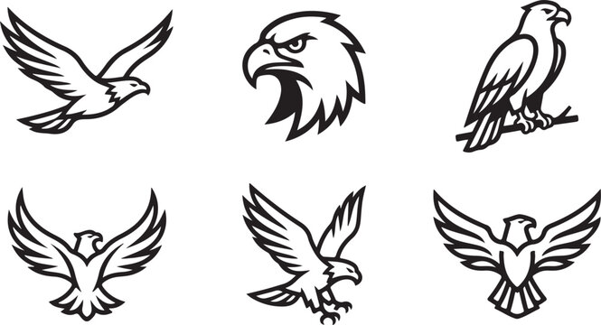 Black and white eagle and bird of prey vector icons set Vector