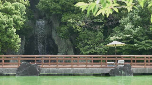 緑豊かな日本庭園の滝と和の情緒ある橋
