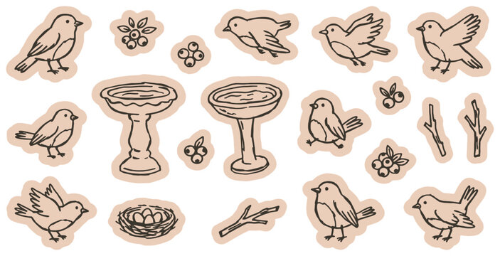 Set of hand-drawn bird and garden elements including birdbaths, nests, branches, and berries, perfect for nature-themed designs.