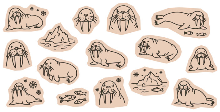 Cute walrus and seal illustrations with icebergs and fish, perfect for children's designs and winter themes.