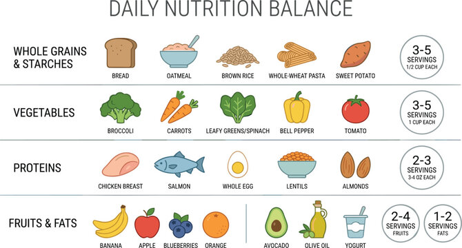Daily nutrition balance infographic chart showing healthy food groups and serving sizes for balanced diet planning, weight loss tracking, and healthcare education app templates