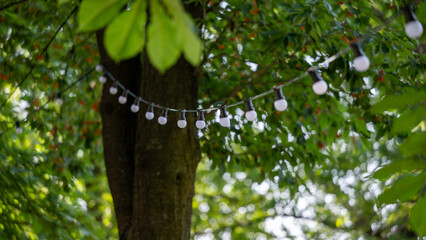 Fototapeta premium Background picture party lights for a garden party