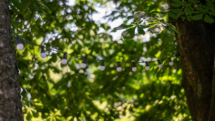Fototapeta premium Background picture party lights for a garden party