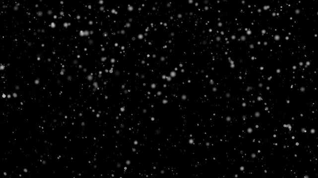 Falling Snowflakes on Black Background, Winter Weather, Gentle Snowfall