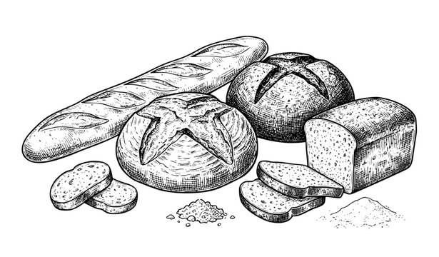 Vintage Bread Loaf Baguette Rustic Bakery Vector Illustration Set