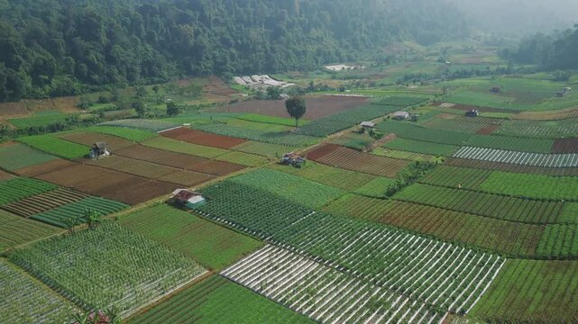 Aerial view of lush green and brown agricultural fields in a misty valley surrounded by forested hills and mountains in Sukabumi, West Java, Indonesia.