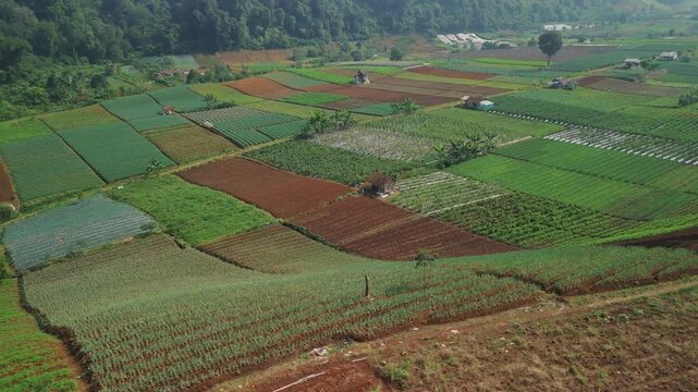 Aerial view of agricultural fields with various crops, small farm huts, and forested hills under bright daylight in Sukabumi, West Java, Indonesia.