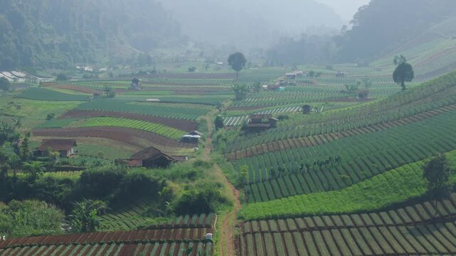 Aerial view of lush green terraced agricultural fields and farm buildings nestled in a misty valley under soft light in Sukabumi, West Java, Indonesia.
