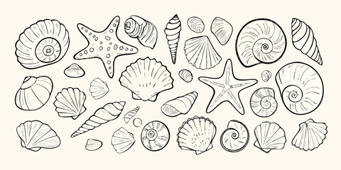 Seashells And Starfish Sketch Black And White Illustration © Prodip