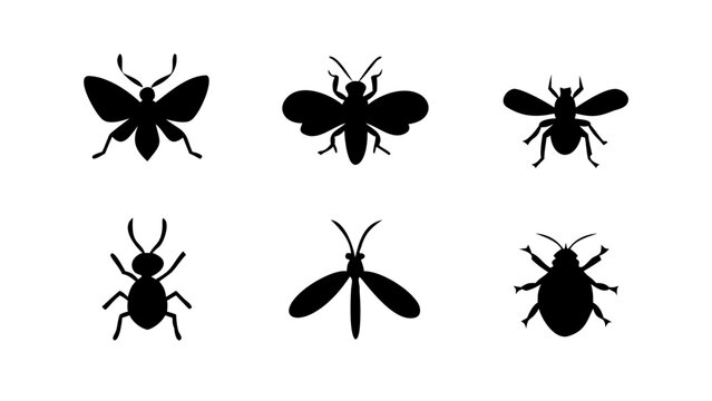 set of butterflies