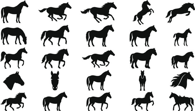 Collection of Horse Silhouettes in Various Poses and Actions