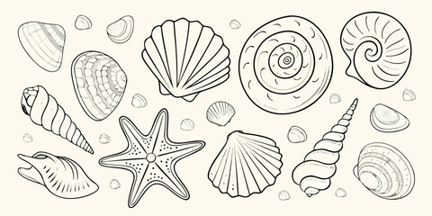 Seashells And Starfish Black And White Line Illustration © Kanika