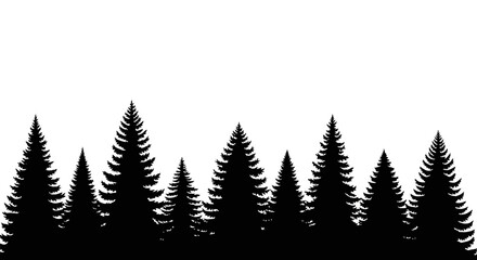 Obraz premium Black silhouettes of pine trees on white background
