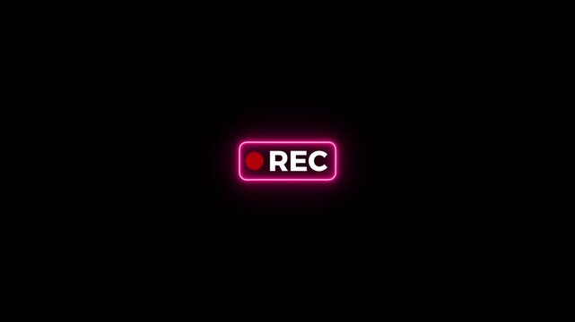 pink neon Recording button animation on transparent background, recoding button animation in 4k,