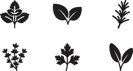 Set of black herb and spice leaf icons representing organic fresh ingredients for cooking and healthy food recipes Vector © Alex