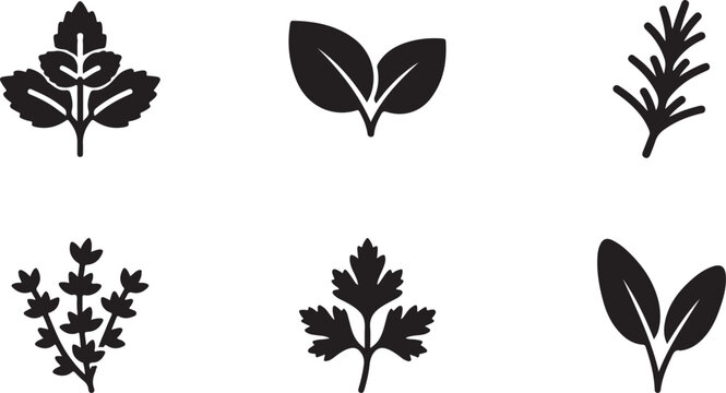 Set of black herb and spice leaf icons representing organic fresh ingredients for cooking and healthy food recipes Vector