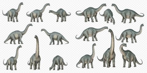 Set of various Brontosaurus dinosaurs in different poses and sizes on a transparent background. © Ytaja