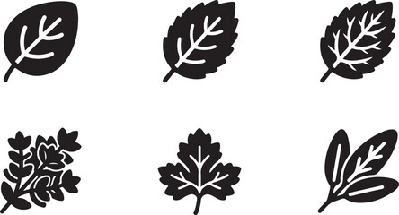 Set of black silhouette icons featuring various garden herbs and leaves for culinary cooking and nature design projects Vector © Alex