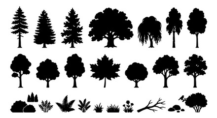 Black tree silhouettes collection, set of 25 nature elements including pine, oak, and maple trees, forest landscape vector icons for architectural site plans © Adobe