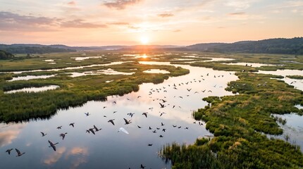Fototapeta premium Sunset over a winding river wetland with flying wild birds in summer