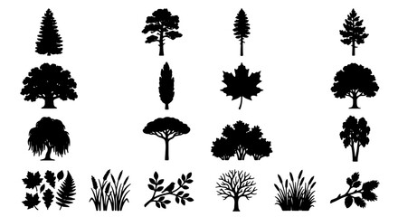 Black tree silhouettes collection, forest plant and leaf vector icons, botanical nature elements set for landscape design and environmental graphics © Adobe