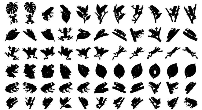 Tropical frog silhouette collection, set of 60 amphibian and jungle leaf icons, black exotic animal vector shapes for nature design