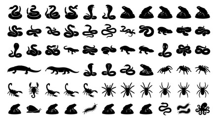 Black silhouette reptile and insect icons, 60 wild animal vector elements, cobra snake and scorpion shapes, spider and lizard graphic set © Adobe