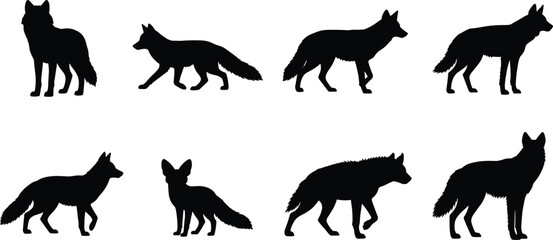 Obraz premium Elegant Collection of Fox and Wolf Silhouettes in Various Poses on White Background
