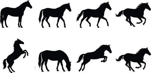 Fototapeta premium Horse Silhouette Collection with Standing Running Grazing and Rearing Equine PosesHorse Silhouette Collection with Standing Running Grazing and Rearing Equine Poses