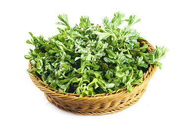 Fototapeta premium Fresh Wild Sage Herbs in Wicker Basket - Traditional Chinese Qingming Festival Food Ingredient