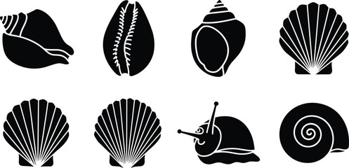 Set of black seashell icons and snail silhouette illustrations isolated on a clean white background © Shahidul