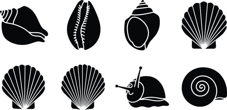 Set of black seashell icons and snail silhouette illustrations isolated on a clean white background