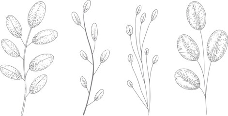 葉のある4つの異なる植物の茎の繊細なボタニカルアート © Lisa_Stock