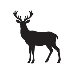 Obraz premium Beautiful noble proud sika deer are ruminant mammal in family Cervidae.
