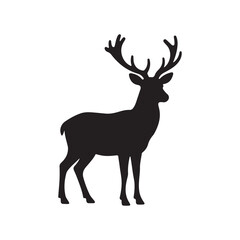 Fototapeta premium Beautiful noble proud sika deer are ruminant mammal in family Cervidae.