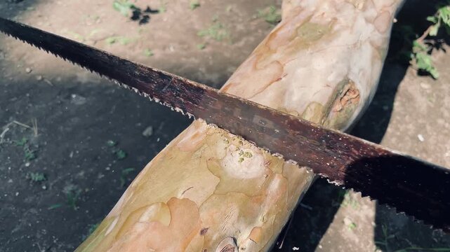 Metal saw cutting through a wooden log, featuring detailed woodworking activity, manual craftsmanship, and raw timber processing.