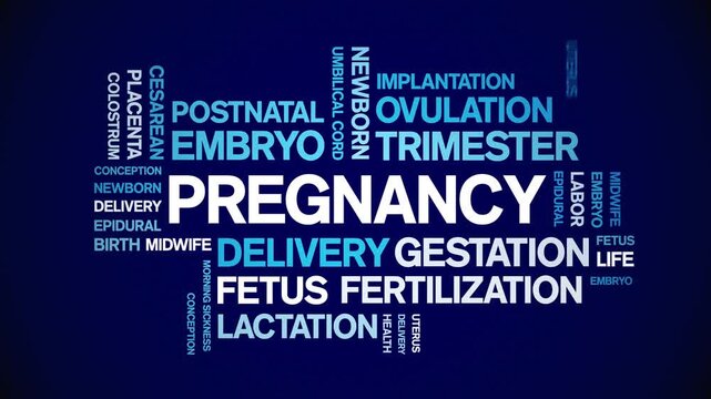 Pregnancy animated word cloud-animation tag kinetic typography seamless loop.