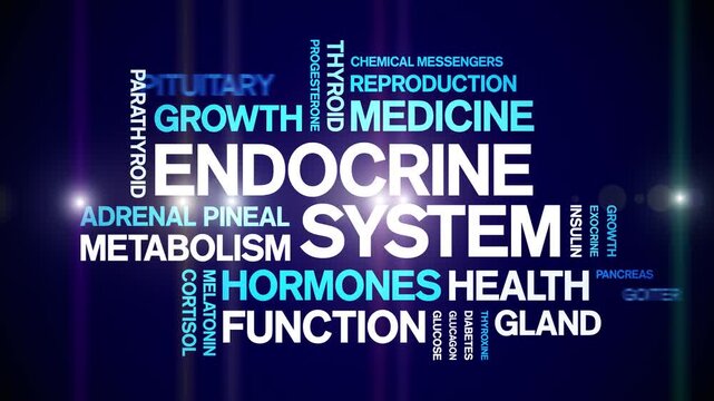 Endocrine System animated word cloud-animation tag kinetic typography seamless loop.