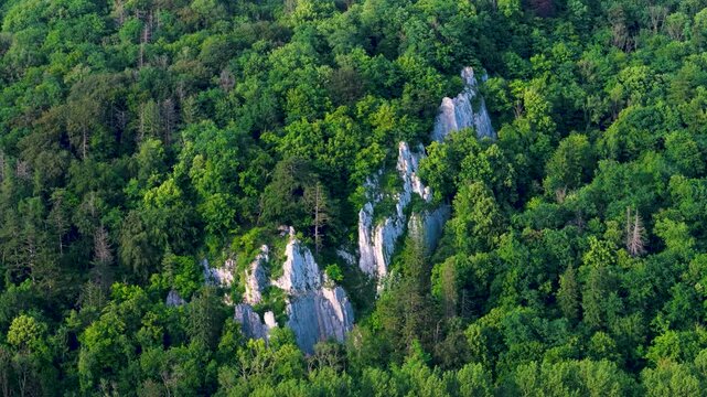 Aerial view of limestone cliffs emerging from a dense green forest in the Meuse valley near Dinant, Wallonia, Belgium.