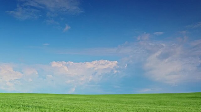 Towering storm clouds and distant rainfall over agricultural fields in rural Hokkaido, Japan. A wide landscape illustrating changing weather conditions and natural atmospheric phenomena.