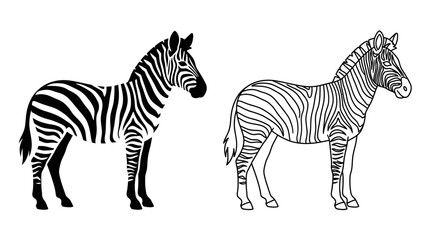 Zebra Illustrations Black And White Line Art On White Background © Fariaislam