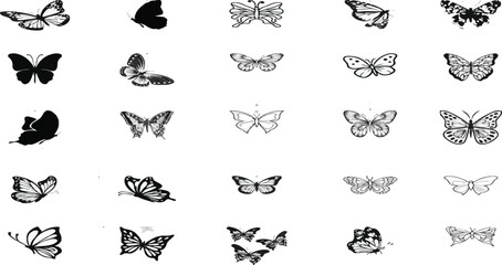 Obraz premium Butterfly vector collection