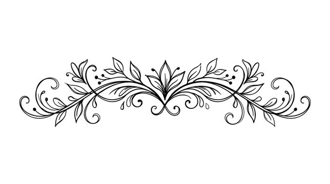 Symmetrical floral flourish with hand drawn leaves and swirls