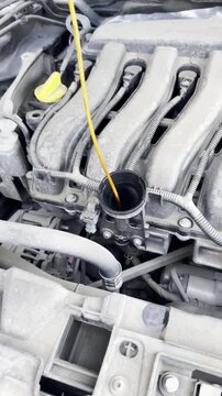 Aceite oil motor coche revisar varilla mec&aacute;nica medida tap&oacute;n de aceite revisi&oacute;n veh&iacute;culo mano con guante mantenimiento comprobar 