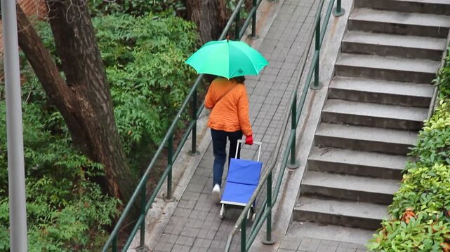 Mujer con carro de compra azul y paraguas verde subiendo cuesta camino del supermercado consumidora shopping cart go to supermarket