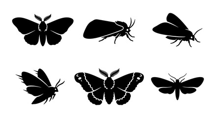 Black moth silhouette collection, 6 vector insect icons set. Dark butterfly and moth wing shapes, nocturnal insect graphics for nature design © MD