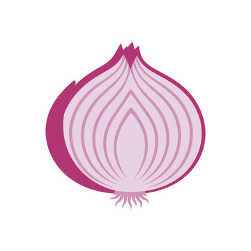 Half Red Onion Illustration Isolated on White Background.